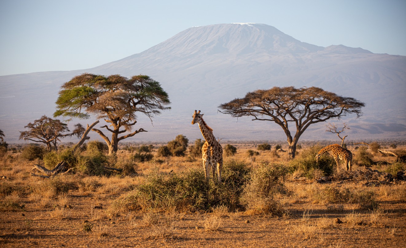 Tulia Amboseli Safari Camp thumbnail 13